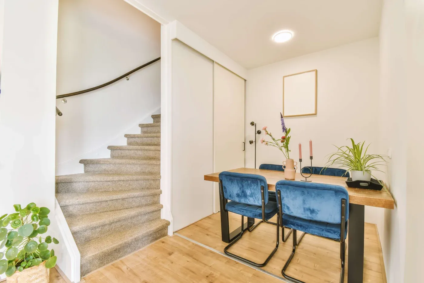 Modern dining area with a wooden table, blue velvet chairs, and decorative plants. A staircase with beige carpet is on the left, leading upwards.