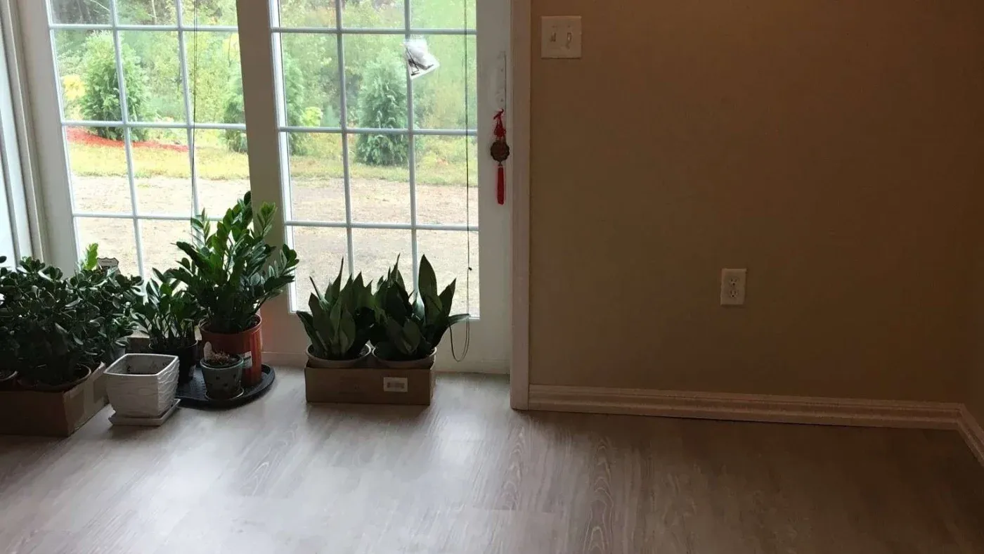 Potted plants sit on a light wooden floor beside a glass door, with a view of a green garden outside. The room feels serene and minimalist.