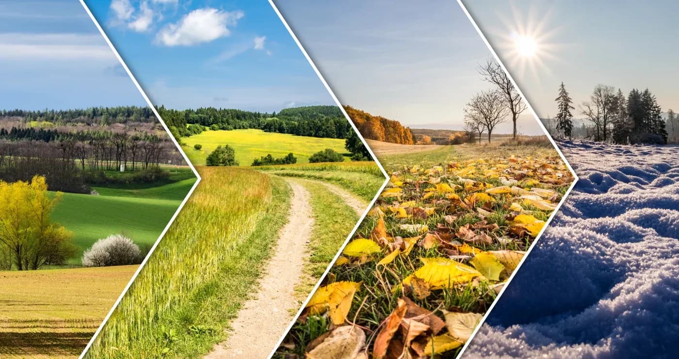 Split image showcasing four seasons: lush green fields in spring, vibrant path in summer, autumn leaves on ground, and snow-covered landscape in winter.