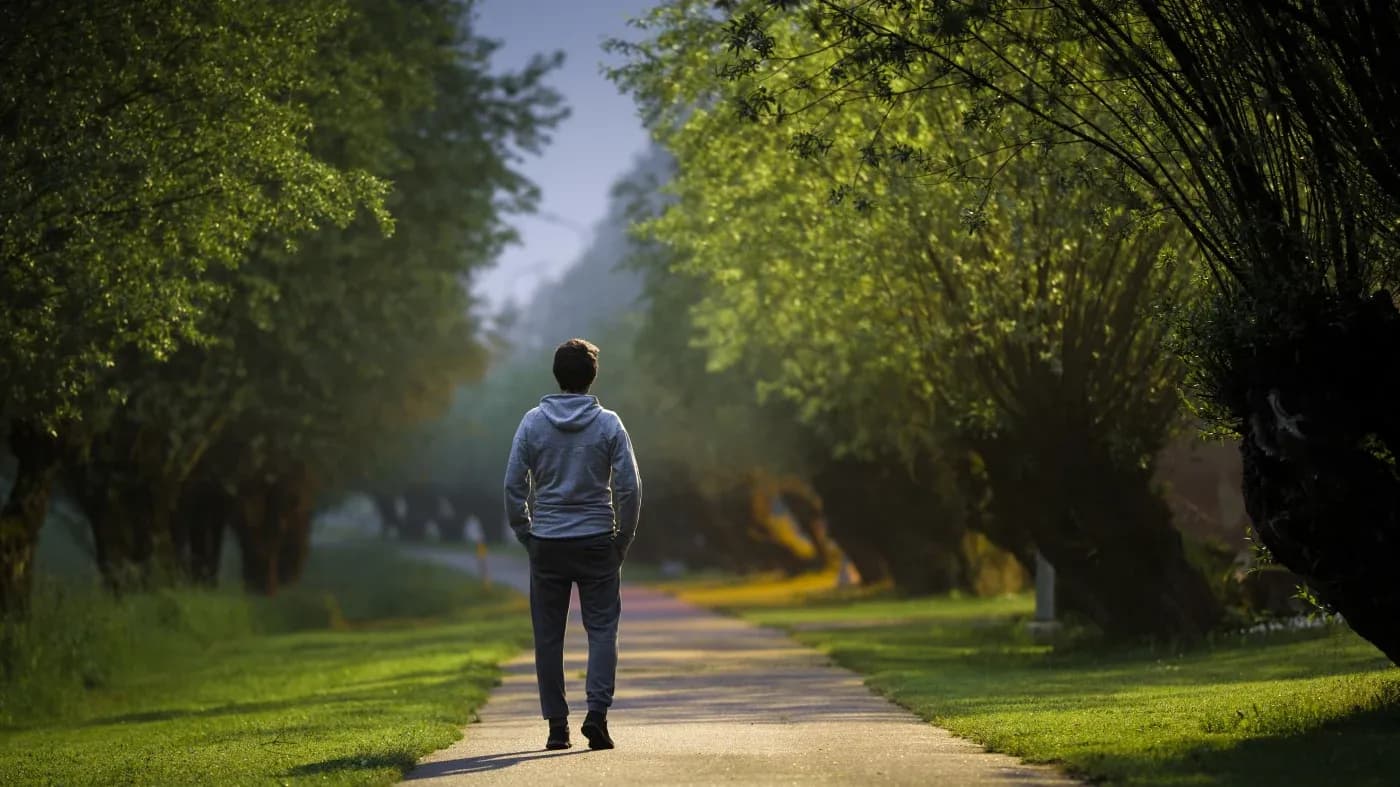 A person walks down a sunlit path lined with lush, green trees, conveying a peaceful and tranquil atmosphere in a serene natural setting.