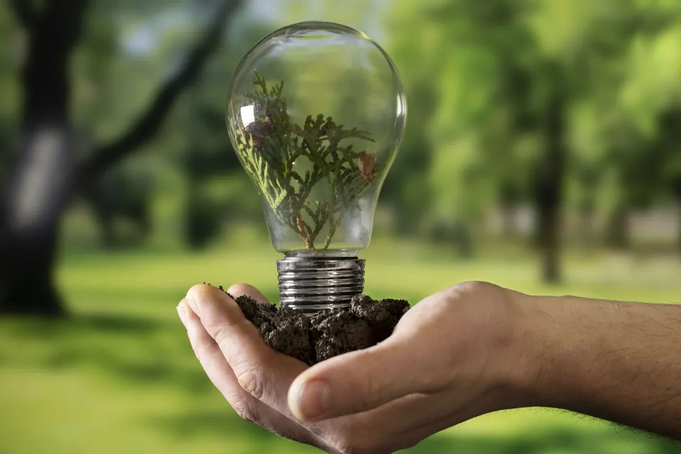 Hands gently hold soil with a lightbulb containing a small plant inside, symbolizing sustainability and renewable energy, set against a blurred green background.