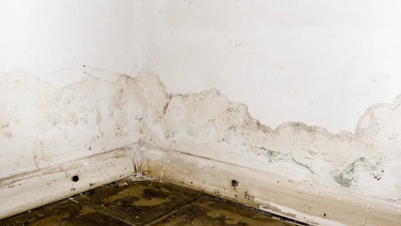 A corner of a room with significant water damage on white walls and baseboard. The peeling paint and damp stains suggest neglect and deterioration.