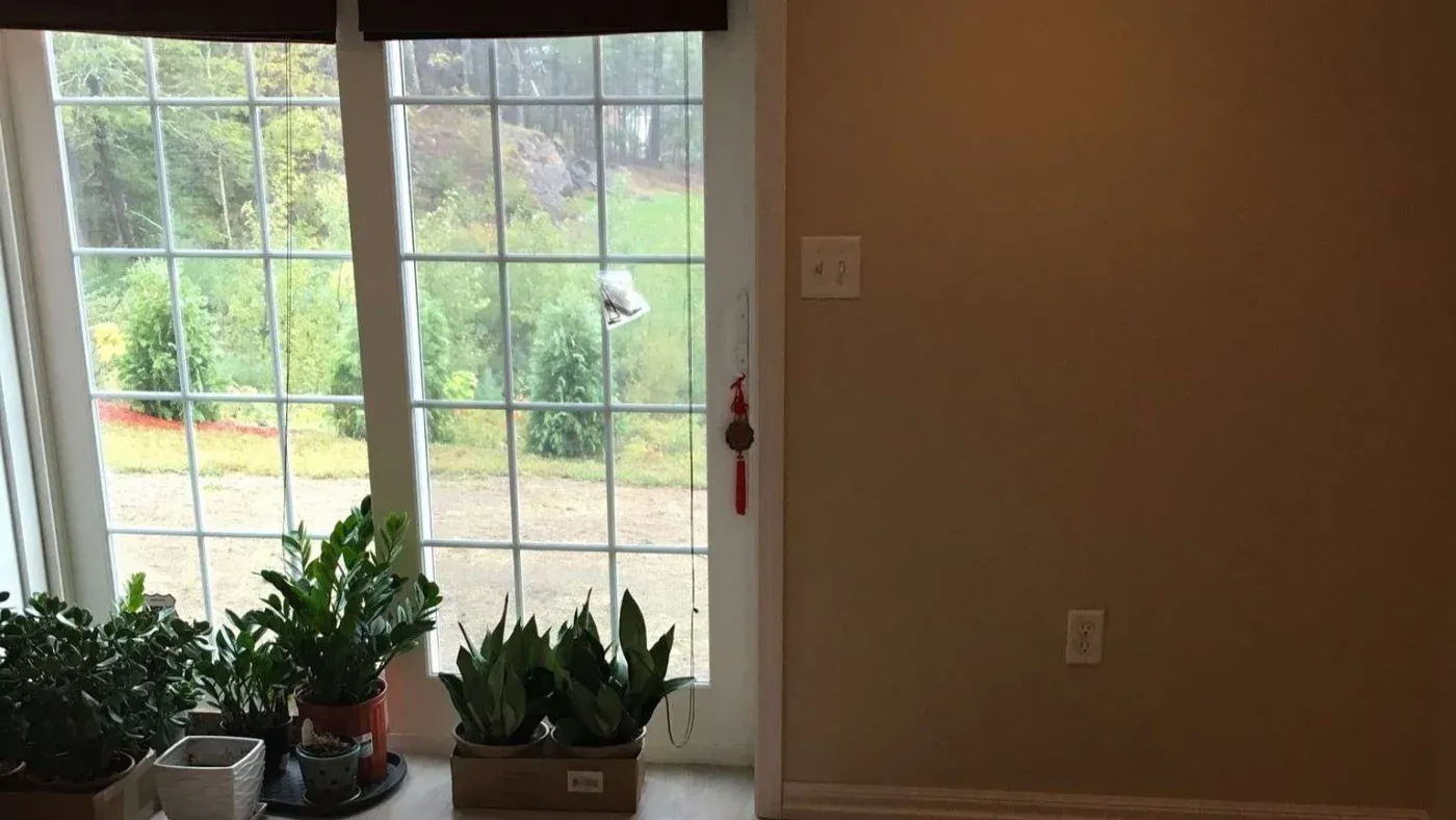 Sliding glass doors open to a lush green garden, framed by plants indoors. The room is calm and well-lit, creating a peaceful atmosphere.