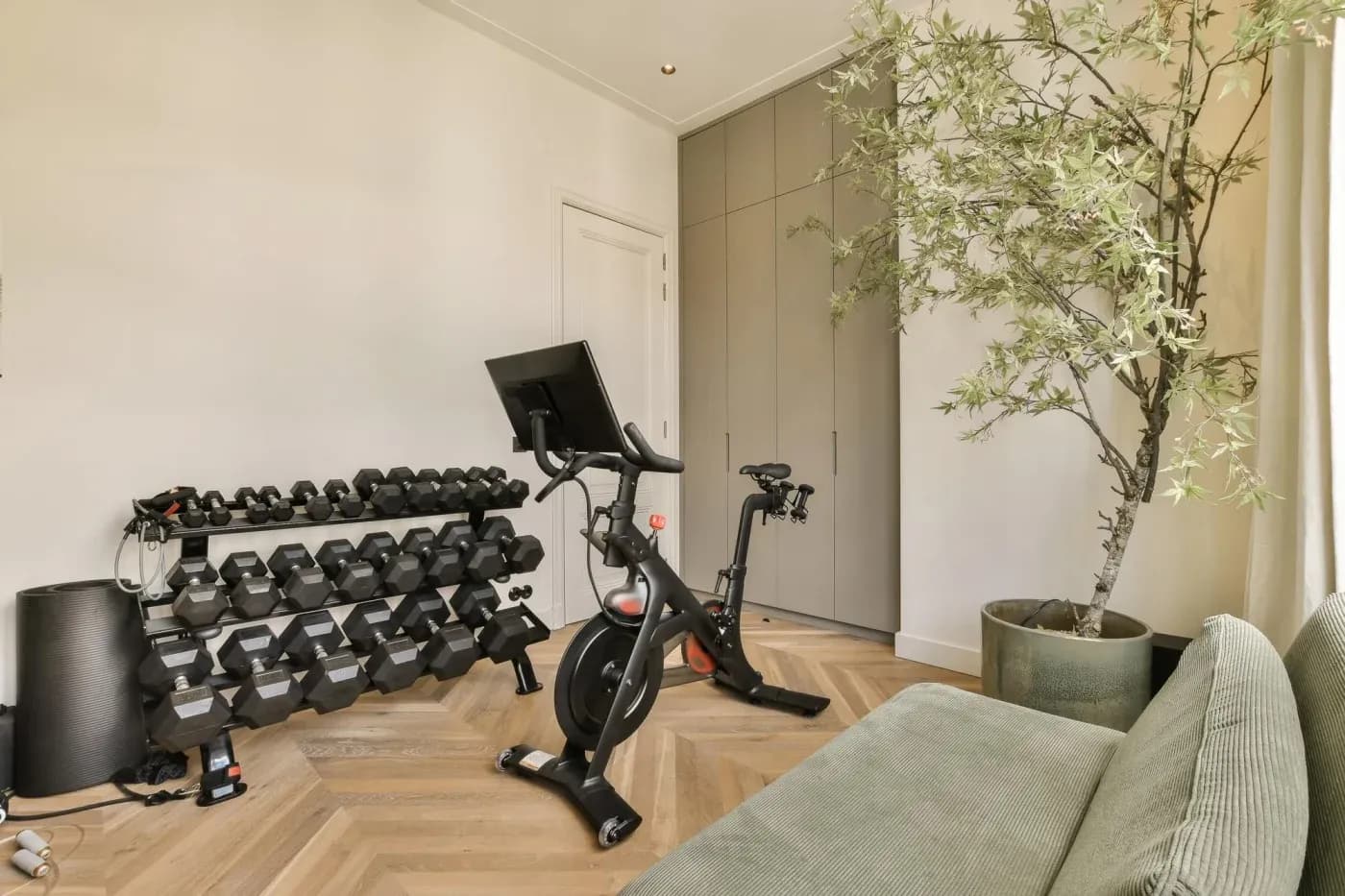Modern home gym with exercise bike, dumbbell rack, and potted tree on wooden floor. Cozy atmosphere with soft light and neutral colors.