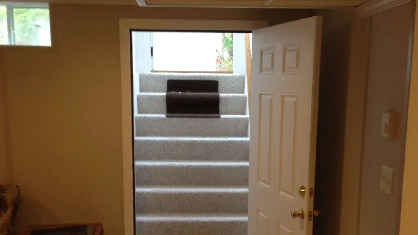 Basement with an open door leading to carpeted stairs and a small, high window. Brightly lit with a welcoming atmosphere, suggesting access to outdoors.