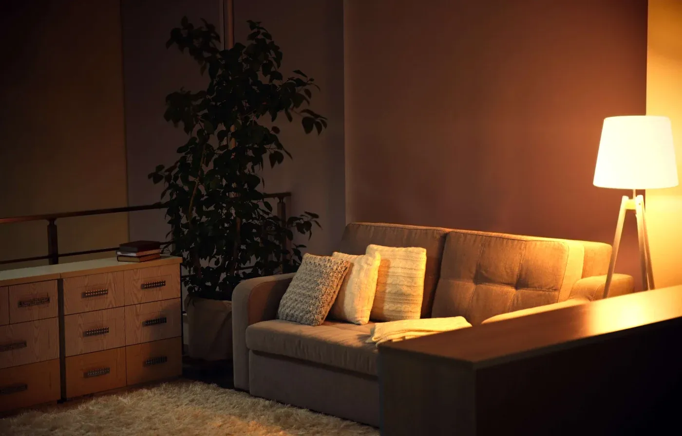 Cozy living room with a soft beige couch adorned with pillows under a warm floor lamp glow. A leafy plant and wooden cabinet add warmth and tranquility.
