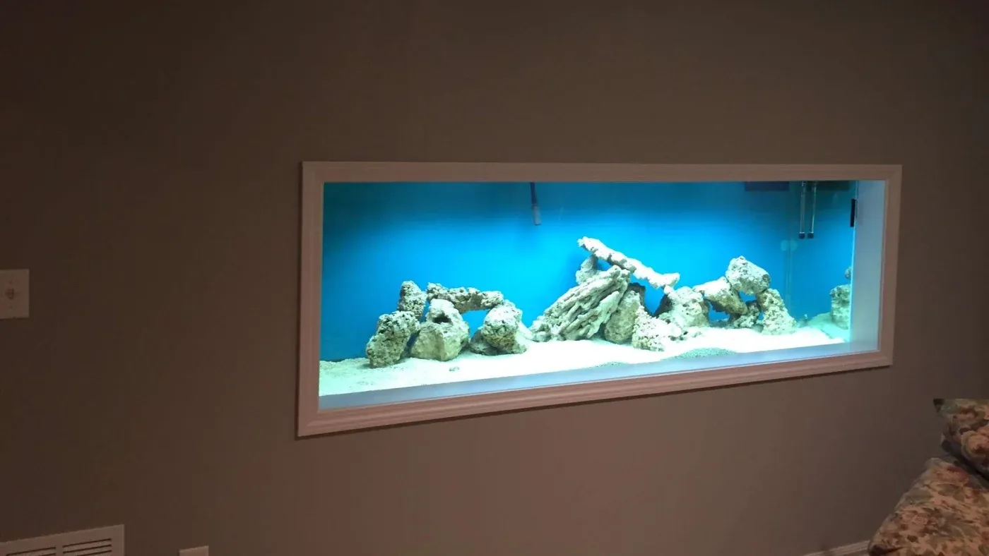 A wall-mounted aquarium with a vibrant blue background, natural rock formations, and white sand, creating a serene and aquatic ambiance.